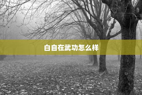 白自在武功怎么样