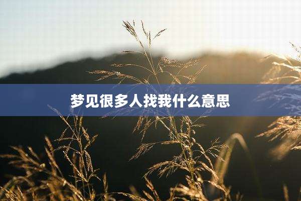 梦见很多人找我什么意思