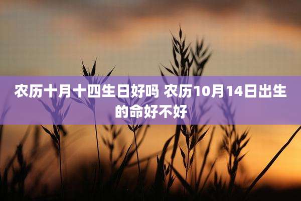 农历十月十四生日好吗 农历10月14日出生的命好不好