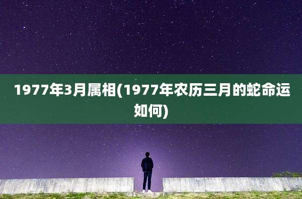 1977年3月属相(1977年农历三月的蛇命运如何)