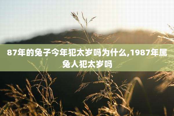87年的兔子今年犯太岁吗为什么,1987年属兔人犯太岁吗