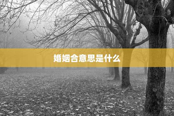 婚姻合意思是什么