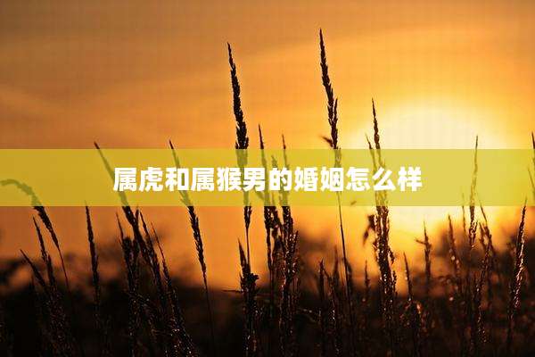 属虎和属猴男的婚姻怎么样