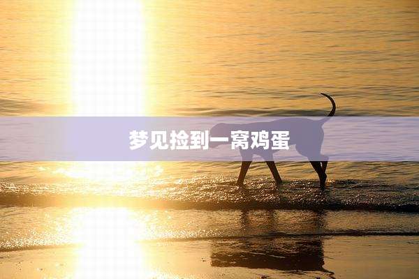 梦见捡到一窝鸡蛋