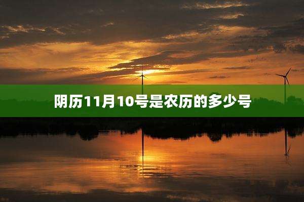 阴历11月10号是农历的多少号