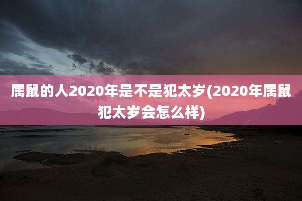 属鼠的人2020年是不是犯太岁(2020年属鼠犯太岁会怎么样)