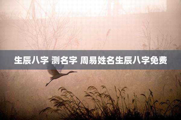 生辰八字 测名字 周易姓名生辰八字免费