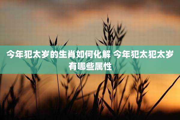 今年犯太岁的生肖如何化解 今年犯太犯太岁有哪些属性