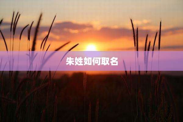 朱姓如何取名