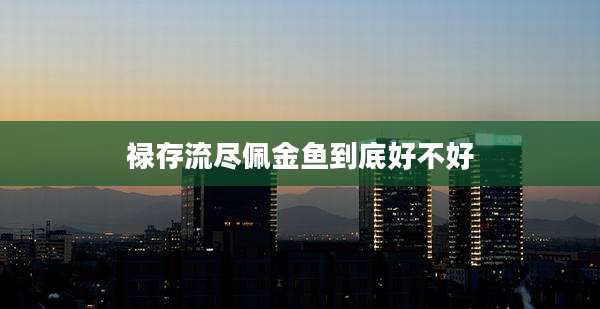禄存流尽佩金鱼到底好不好