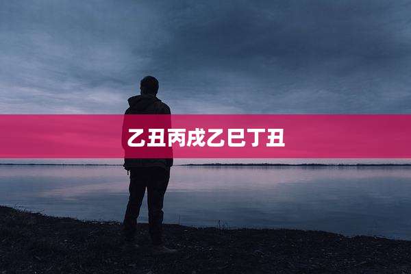 乙丑丙戌乙巳丁丑