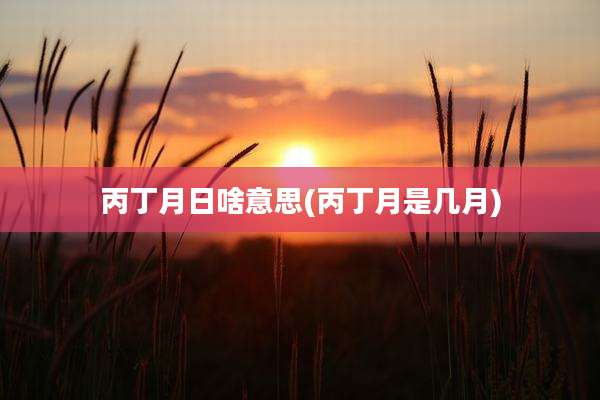 丙丁月日啥意思(丙丁月是几月)