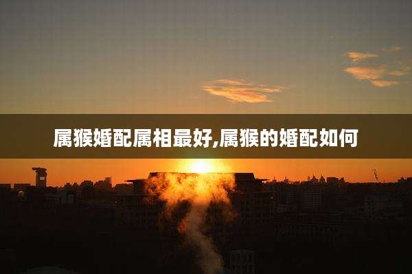 属猴婚配属相最好,属猴的婚配如何