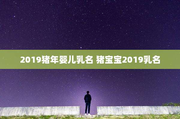 2019猪年婴儿乳名 猪宝宝2019乳名
