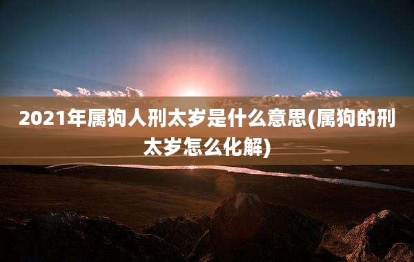 2021年属狗人刑太岁是什么意思(属狗的刑太岁怎么化解)