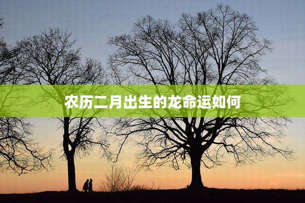 农历二月出生的龙命运如何