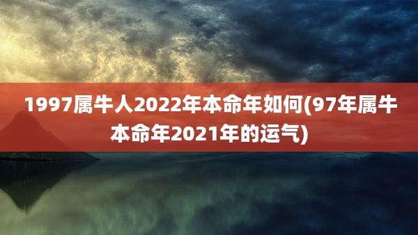 1997属牛人2022年本命年如何(97年属牛本命年2021年的运气)