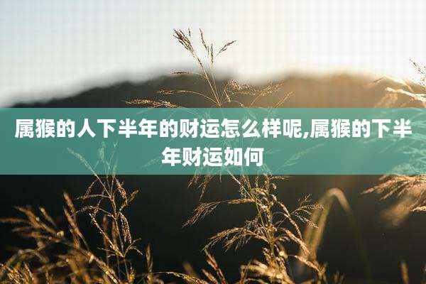 属猴的人下半年的财运怎么样呢,属猴的下半年财运如何