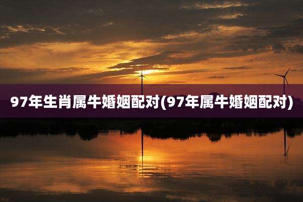 97年生肖属牛婚姻配对(97年属牛婚姻配对)
