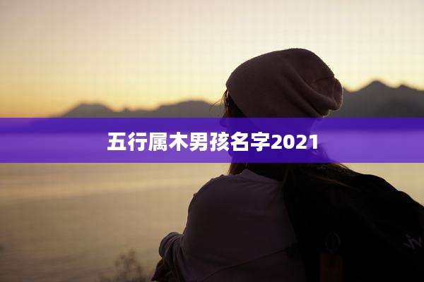 五行属木男孩名字2021