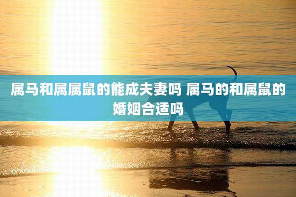 属马和属属鼠的能成夫妻吗 属马的和属鼠的婚姻合适吗