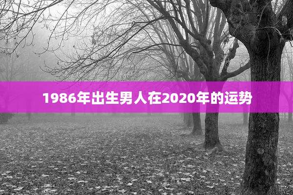 1986年出生男人在2020年的运势