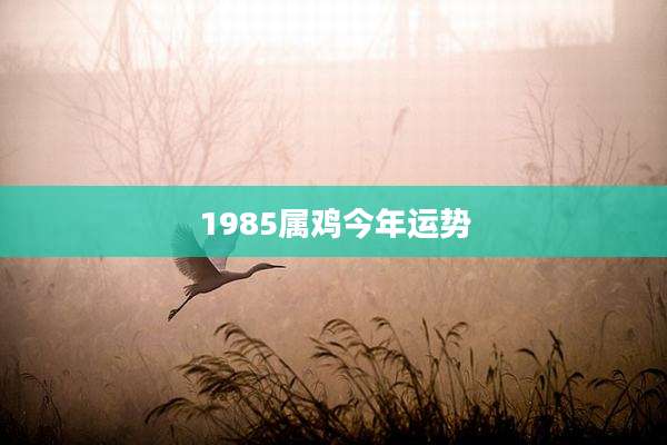 1985属鸡今年运势