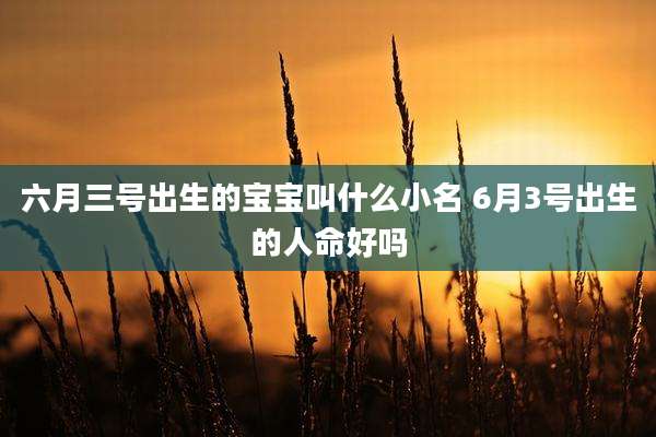 六月三号出生的宝宝叫什么小名 6月3号出生的人命好吗