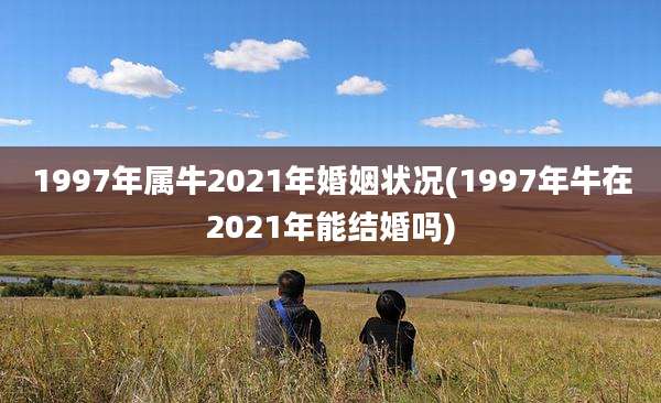 1997年属牛2021年婚姻状况(1997年牛在2021年能结婚吗)