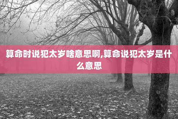 算命时说犯太岁啥意思啊,算命说犯太岁是什么意思