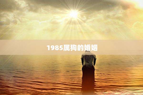 1985属狗的婚姻