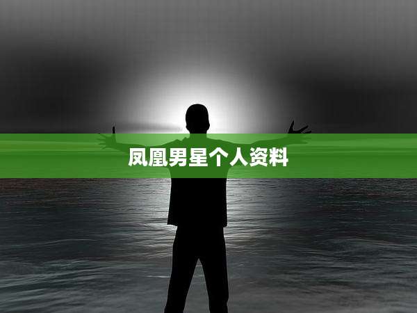 凤凰男星个人资料