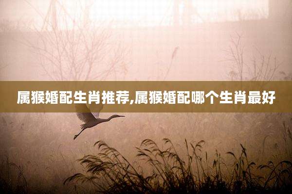 属猴婚配生肖推荐,属猴婚配哪个生肖最好