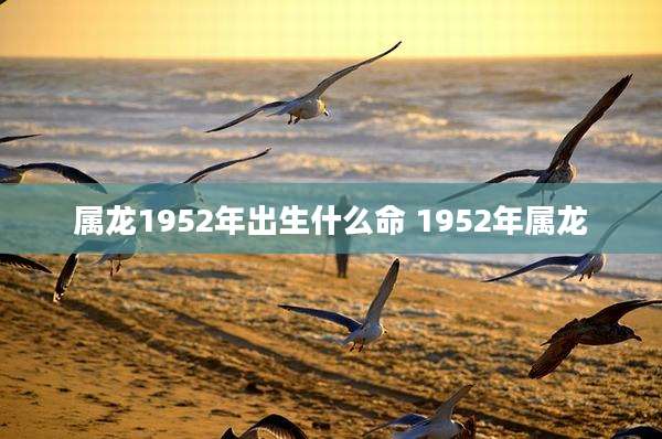 属龙1952年出生什么命 1952年属龙