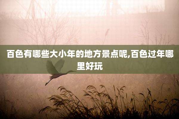 百色有哪些大小年的地方景点呢,百色过年哪里好玩