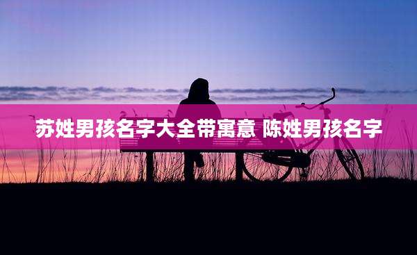 苏姓男孩名字大全带寓意 陈姓男孩名字