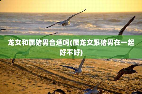 龙女和属猪男合适吗(属龙女跟猪男在一起好不好)