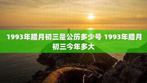 1993年腊月初三是公历多少号 1993年腊月初三今年多大