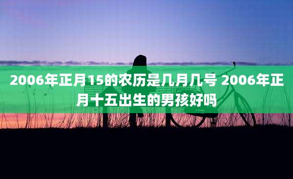 2006年正月15的农历是几月几号 2006年正月十五出生的男孩好吗
