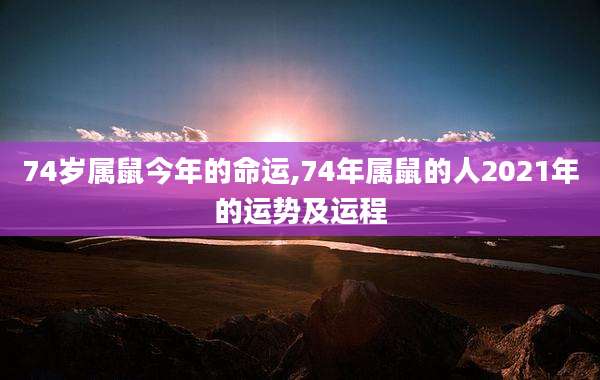 74岁属鼠今年的命运,74年属鼠的人2021年的运势及运程