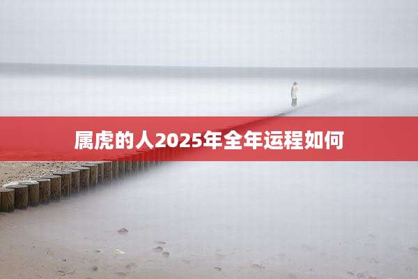 属虎的人2025年全年运程如何