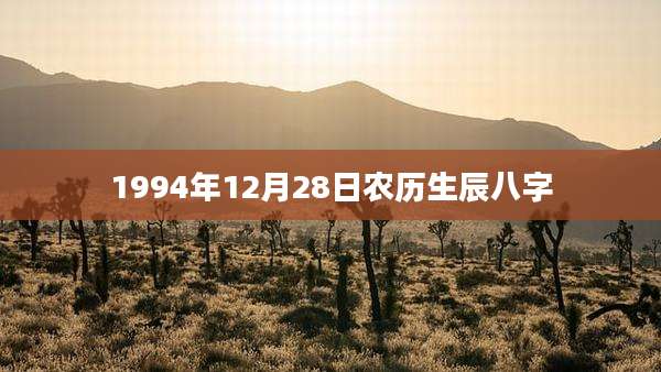 1994年12月28日农历生辰八字