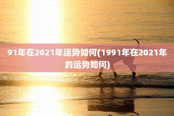 91年在2021年运势如何(1991年在2021年的运势如何)
