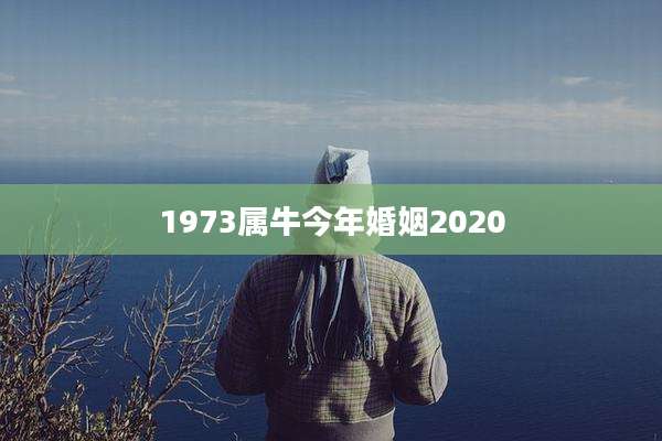 1973属牛今年婚姻2020