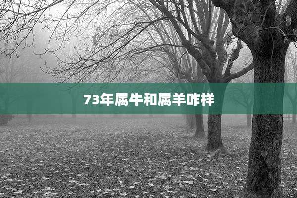 73年属牛和属羊咋样