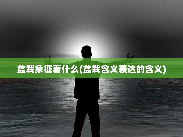盆栽象征着什么(盆栽含义表达的含义)