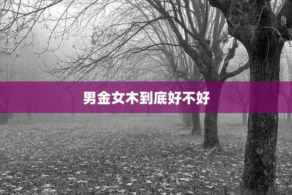男金女木到底好不好