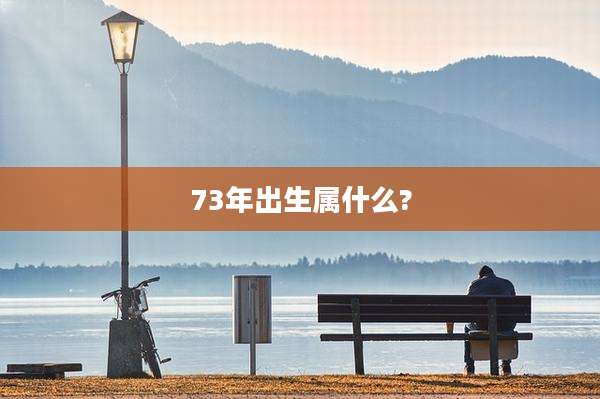 73年出生属什么?