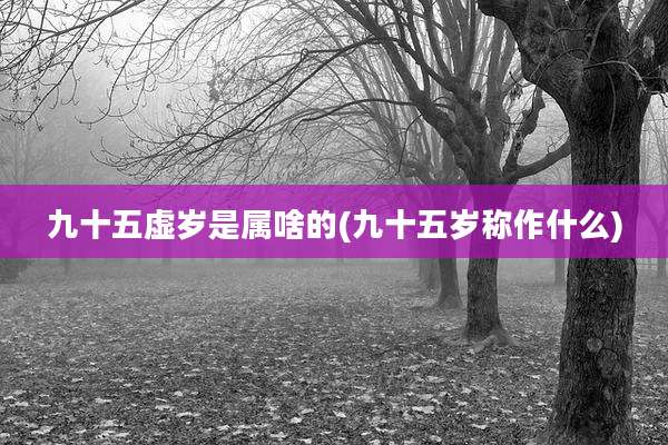 九十五虚岁是属啥的(九十五岁称作什么)