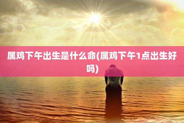 属鸡下午出生是什么命(属鸡下午1点出生好吗)